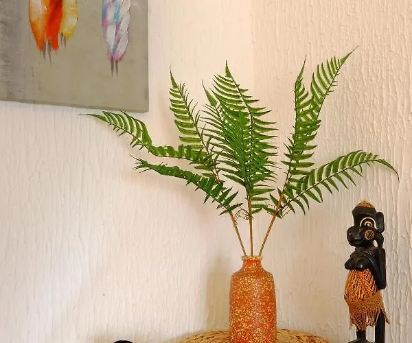 Alexandria * Белград